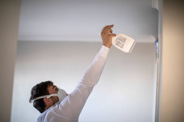 Best Crawl Space Mold Removal  in Beattyville, KY